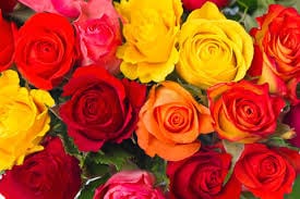Enhance Your Bouquet